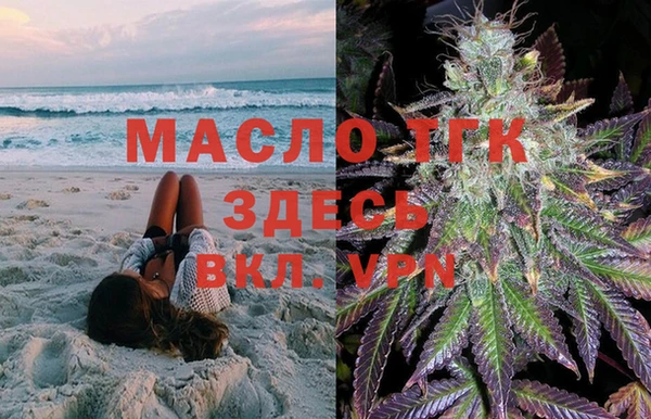 крисы Алзамай