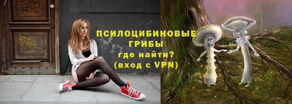 хмурый Абинск